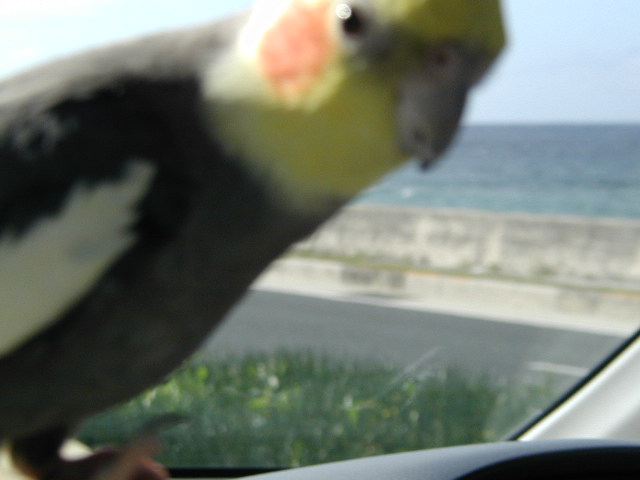 photo
