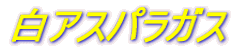 AXpKX
